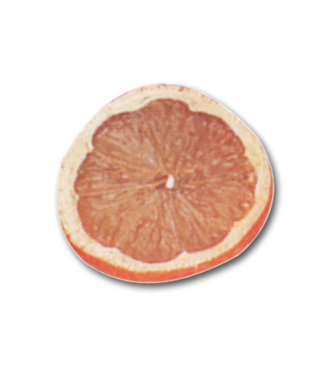 Orange Slice Replica